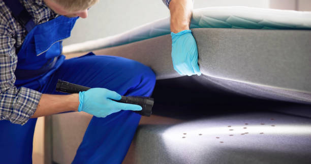 Best Best Pest Control Companies  in East Ridge, TN