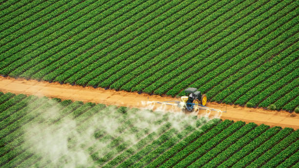 Best Mosquito Control Services  in East Ridge, TN