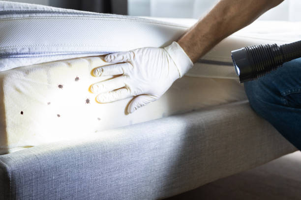 Best Pest Inspection Near Me  in East Ridge, TN