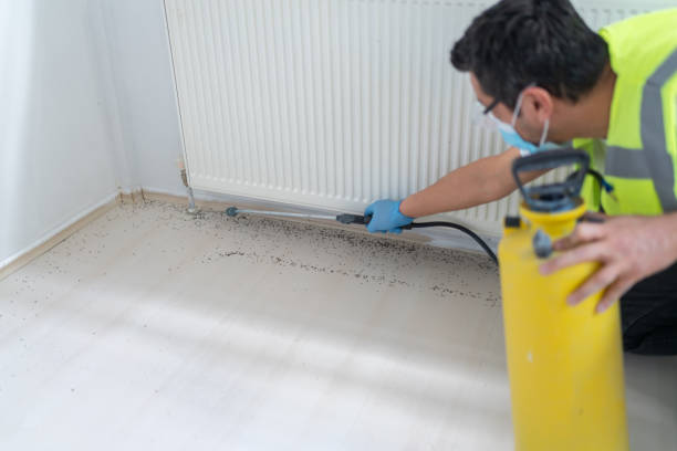 Best Residential Pest Control  in East Ridge, TN