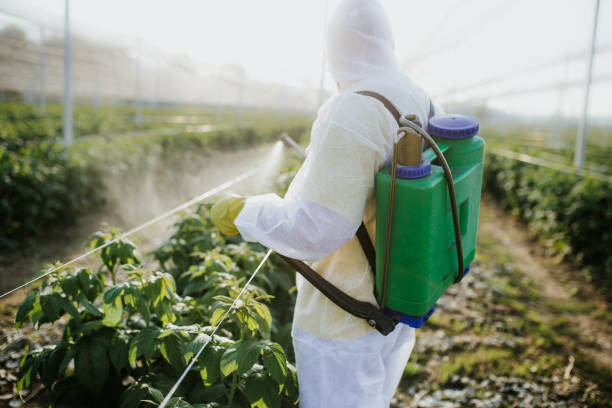 Best Ant Control Services  in East Ridge, TN